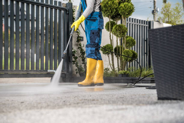 Best Gutter Cleaning  in Benton Harbor, MI